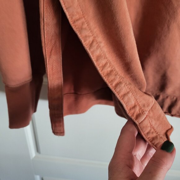 American Eagle Sunwashed Desert Hoodie in Canyon Clay - Picture 3 of 6